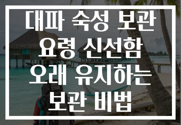대파 숙성 보관 요령 신선함 오래 유지하는 보관 비법 대파 숙성 보관 요령 신선함 오래 유지하는 보관 비법