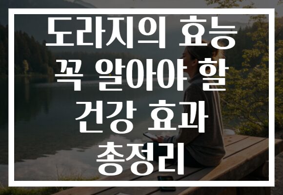 도라지의 효능 꼭 알아야 할 건강 효과 총정리 도라지의 효능 꼭 알아야 할 건강 효과 총정리