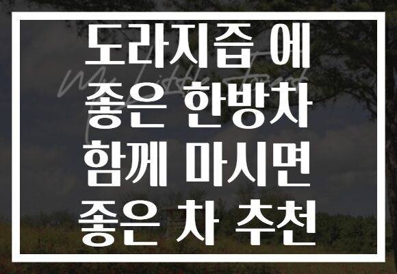 도라지즙 에 좋은 한방차 함께 마시면 좋은 차 추천