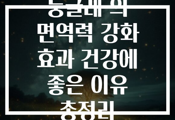 둥굴레 의 면역력 강화 효과 건강에 좋은 이유 총정리 둥굴레 의 면역력 강화 효과 건강에 좋은 이유 총정리