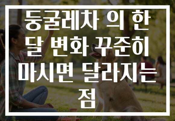 둥굴레차 의 한 달 변화 꾸준히 마시면 달라지는 점 둥굴레차 의 한 달 변화 꾸준히 마시면 달라지는 점