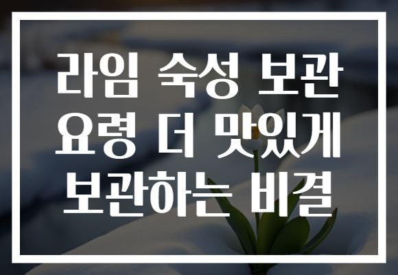 라임 숙성 보관 요령 더 맛있게 보관하는 비결