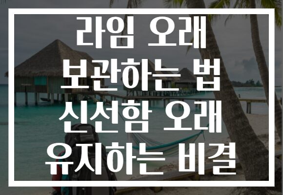 라임 오래 보관하는 법 신선함 오래 유지하는 비결 라임 오래 보관하는 법 신선함 오래 유지하는 비결