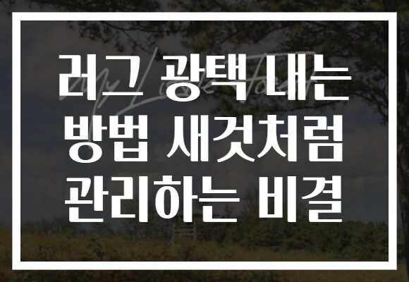 러그 광택 내는 방법 새것처럼 관리하는 비결 러그 광택 내는 방법 새것처럼 관리하는 비결