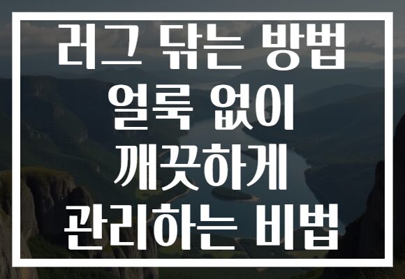 러그 닦는 방법 얼룩 없이 깨끗하게 관리하는 비법