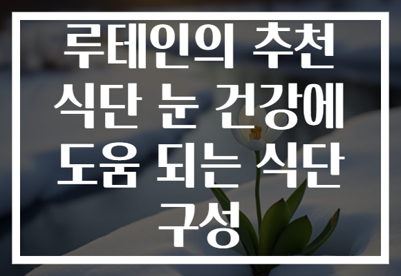 루테인의 추천 식단 눈 건강에 도움 되는 식단 구성 루테인의 추천 식단 눈 건강에 도움 되는 식단 구성