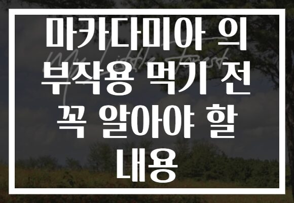 마카다미아 의 부작용 먹기 전 꼭 알아야 할 내용