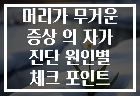 머리가 무거운 증상 의 자가 진단 원인별 체크 포인트