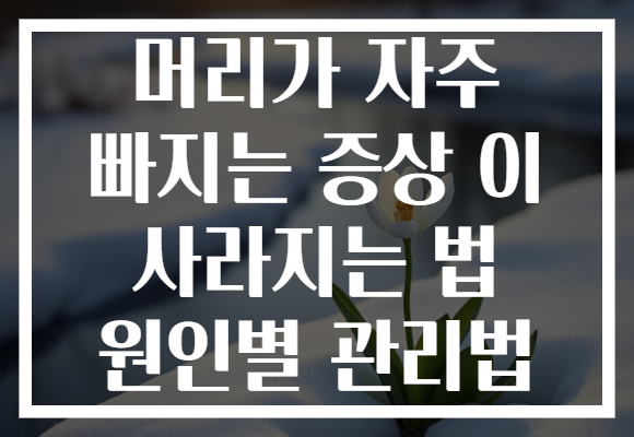 머리가 자주 빠지는 증상 이 사라지는 법 원인별 관리법