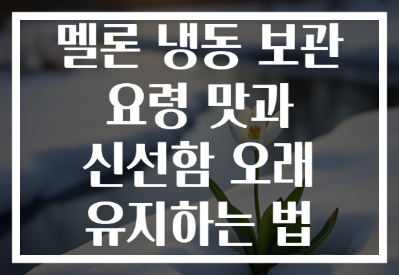 멜론 냉동 보관 요령 맛과 신선함 오래 유지하는 법 멜론 냉동 보관 요령 맛과 신선함 오래 유지하는 법