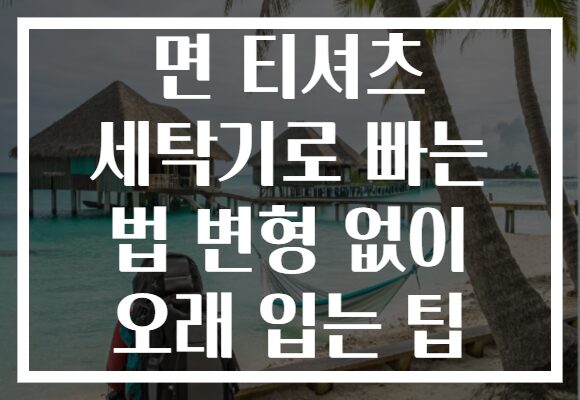 면 티셔츠 세탁기로 빠는 법 변형 없이 오래 입는 팁 면 티셔츠 세탁기로 빠는 법 변형 없이 오래 입는 팁