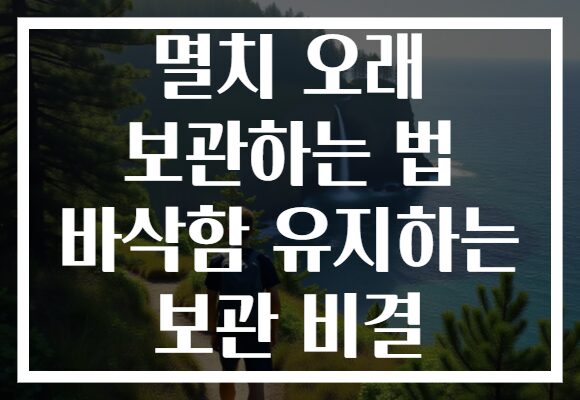 멸치 오래 보관하는 법 바삭함 유지하는 보관 비결 멸치 오래 보관하는 법 바삭함 유지하는 보관 비결