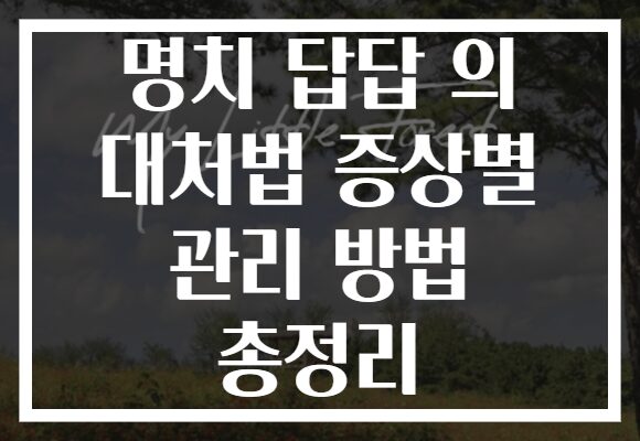 명치 답답 의 대처법 증상별 관리 방법 총정리