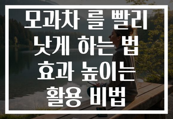 모과차 를 빨리 낫게 하는 법 효과 높이는 활용 비법