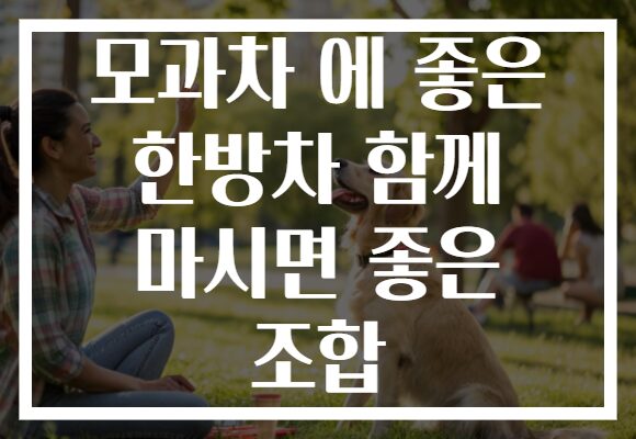 모과차 에 좋은 한방차 함께 마시면 좋은 조합 모과차 에 좋은 한방차 함께 마시면 좋은 조합