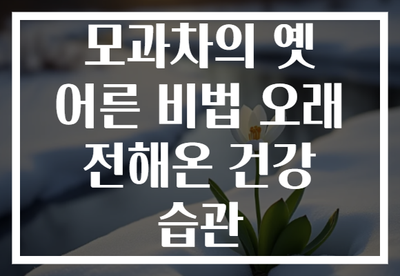 모과차의 옛 어른 비법 오래 전해온 건강 습관 모과차의 옛 어른 비법 오래 전해온 건강 습관