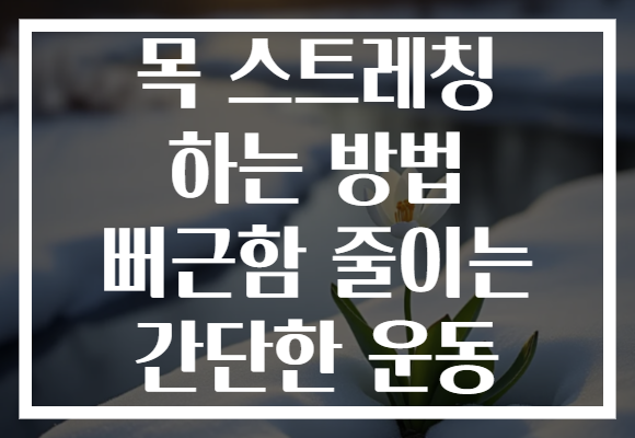 목 스트레칭 하는 방법 뻐근함 줄이는 간단한 운동 목 스트레칭 하는 방법 뻐근함 줄이는 간단한 운동
