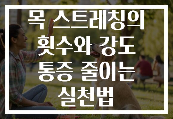 목 스트레칭의 횟수와 강도 통증 줄이는 실천법