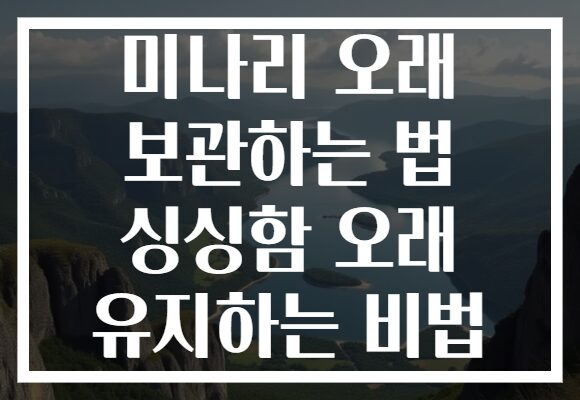 미나리 오래 보관하는 법 싱싱함 오래 유지하는 비법 미나리 오래 보관하는 법 싱싱함 오래 유지하는 비법