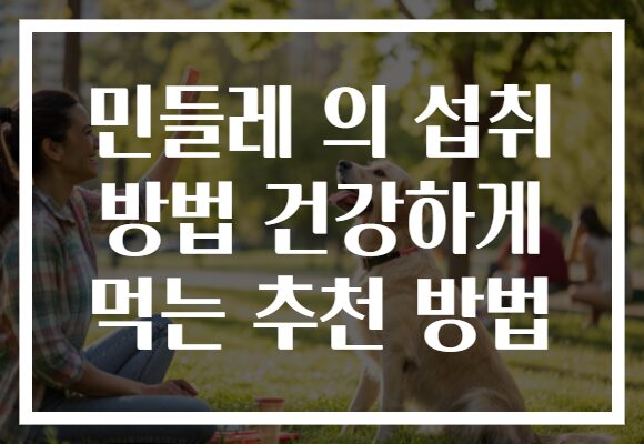 민들레 의 섭취 방법 건강하게 먹는 추천 방법 민들레 의 섭취 방법 건강하게 먹는 추천 방법