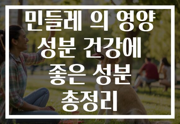 민들레 의 영양 성분 건강에 좋은 성분 총정리 민들레 의 영양 성분 건강에 좋은 성분 총정리