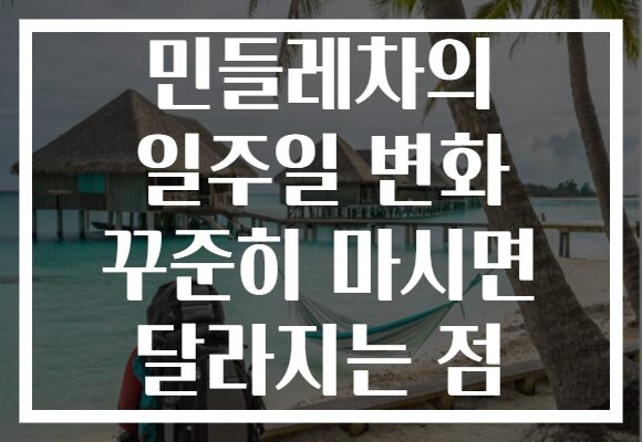 민들레차의 일주일 변화 꾸준히 마시면 달라지는 점 민들레차의 일주일 변화 꾸준히 마시면 달라지는 점