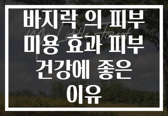바지락 의 피부 미용 효과 피부 건강에 좋은 이유 바지락 의 피부 미용 효과 피부 건강에 좋은 이유