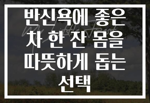 반신욕에 좋은 차 한 잔 몸을 따뜻하게 돕는 선택