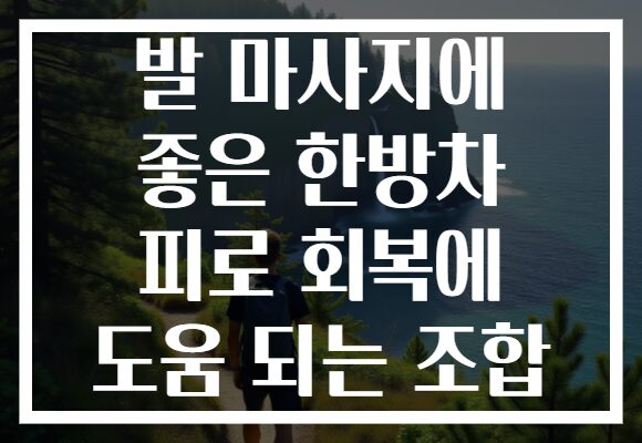발 마사지에 좋은 한방차 피로 회복에 도움 되는 조합 발 마사지에 좋은 한방차 피로 회복에 도움 되는 조합