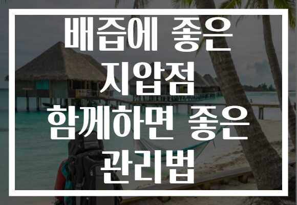 배즙에 좋은 지압점 함께하면 좋은 관리법 배즙에 좋은 지압점 함께하면 좋은 관리법