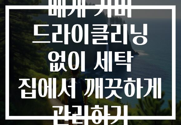베개 커버 드라이클리닝 없이 세탁 집에서 깨끗하게 관리하기