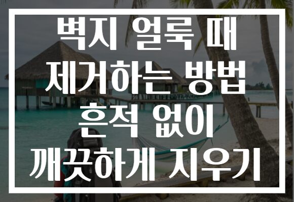 벽지 얼룩 때 제거하는 방법 흔적 없이 깨끗하게 지우기 벽지 얼룩 때 제거하는 방법 흔적 없이 깨끗하게 지우기