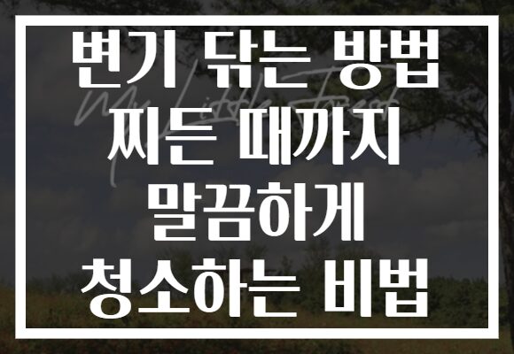 변기 닦는 방법 찌든 때까지 말끔하게 청소하는 비법