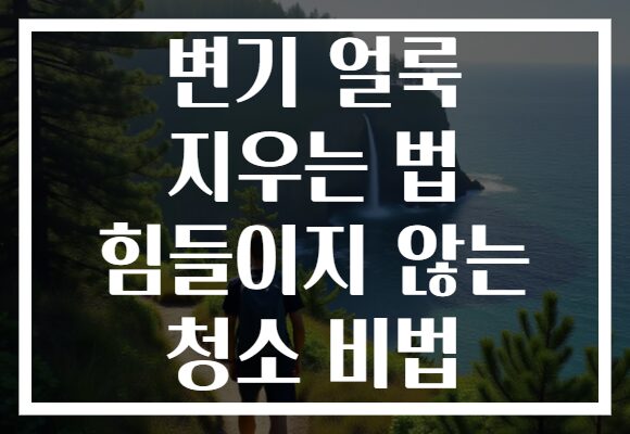 변기 얼룩 지우는 법 힘들이지 않는 청소 비법 변기 얼룩 지우는 법 힘들이지 않는 청소 비법