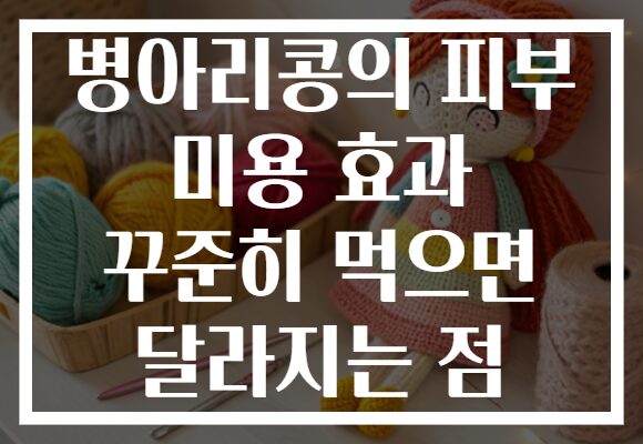 병아리콩의 피부 미용 효과 꾸준히 먹으면 달라지는 점 병아리콩의 피부 미용 효과 꾸준히 먹으면 달라지는 점