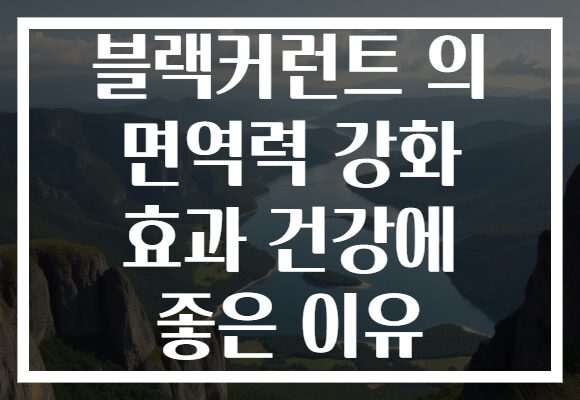 블랙커런트 의 면역력 강화 효과 건강에 좋은 이유 블랙커런트 의 면역력 강화 효과 건강에 좋은 이유