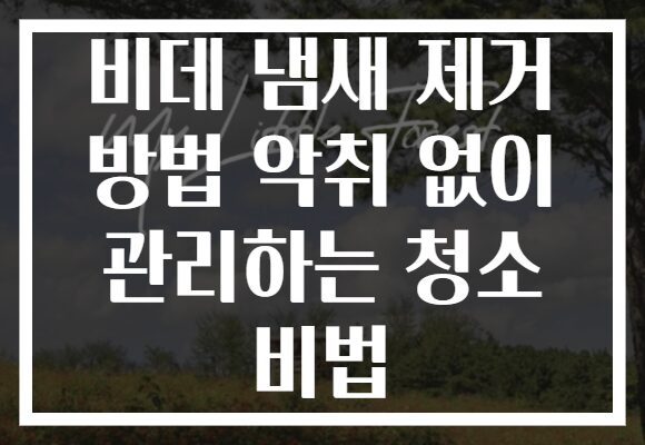 비데 냄새 제거 방법 악취 없이 관리하는 청소 비법 비데 냄새 제거 방법 악취 없이 관리하는 청소 비법