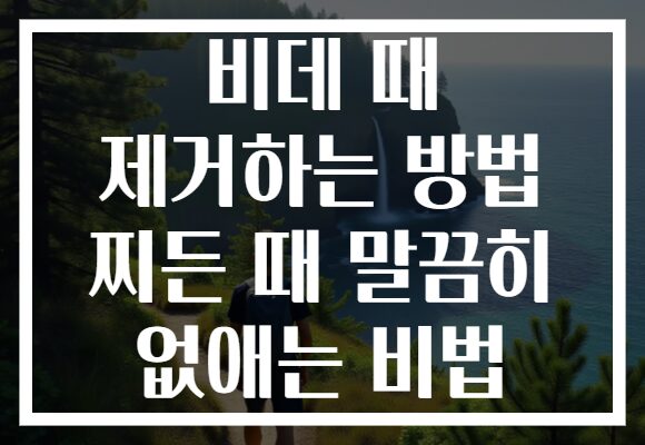 비데 때 제거하는 방법 찌든 때 말끔히 없애는 비법