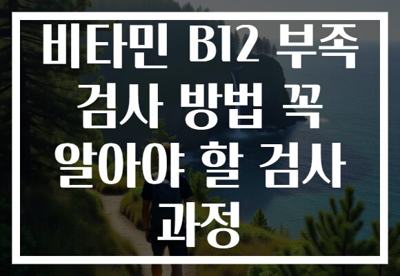비타민 B12 부족 검사 방법 꼭 알아야 할 검사 과정