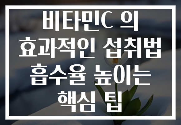 비타민C 의 효과적인 섭취법 흡수율 높이는 핵심 팁 비타민C 의 효과적인 섭취법 흡수율 높이는 핵심 팁