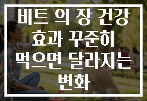 비트 의 장 건강 효과 꾸준히 먹으면 달라지는 변화 비트 의 장 건강 효과 꾸준히 먹으면 달라지는 변화