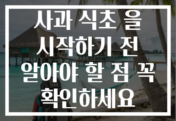 사과 식초 을 시작하기 전 알아야 할 점 꼭 확인하세요 사과 식초 을 시작하기 전 알아야 할 점 꼭 확인하세요
