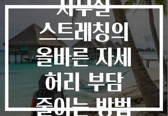 사무실 스트레칭의 올바른 자세 허리 부담 줄이는 방법 사무실 스트레칭의 올바른 자세 허리 부담 줄이는 방법