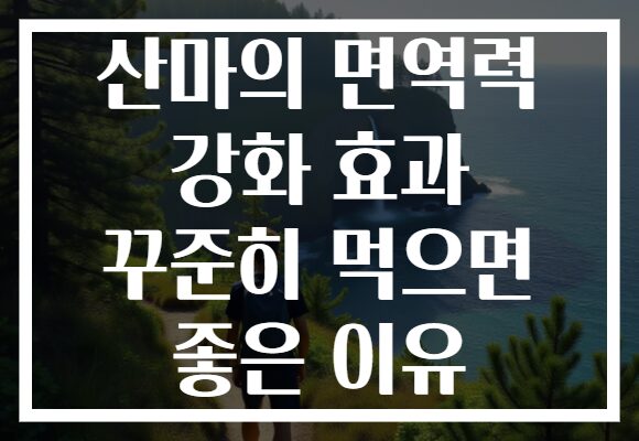 산마의 면역력 강화 효과 꾸준히 먹으면 좋은 이유 산마의 면역력 강화 효과 꾸준히 먹으면 좋은 이유