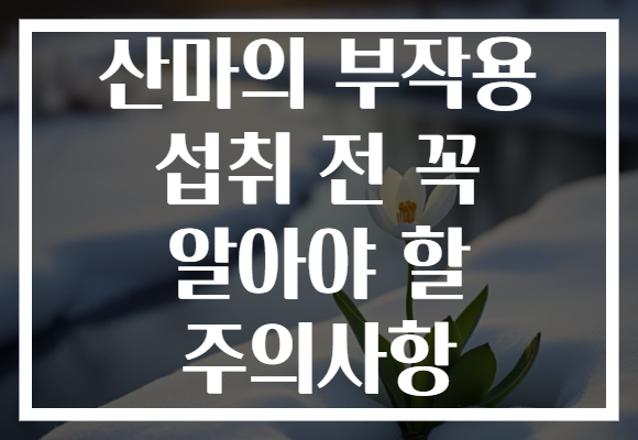 산마의 부작용 섭취 전 꼭 알아야 할 주의사항 산마의 부작용 섭취 전 꼭 알아야 할 주의사항