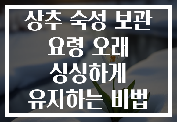 상추 숙성 보관 요령 오래 싱싱하게 유지하는 비법 상추 숙성 보관 요령 오래 싱싱하게 유지하는 비법