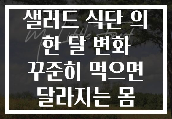 샐러드 식단 의 한 달 변화 꾸준히 먹으면 달라지는 몸 샐러드 식단 의 한 달 변화 꾸준히 먹으면 달라지는 몸