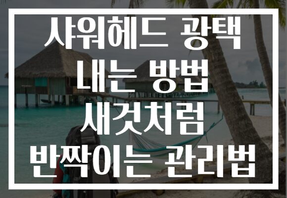 샤워헤드 광택 내는 방법 새것처럼 반짝이는 관리법 샤워헤드 광택 내는 방법 새것처럼 반짝이는 관리법