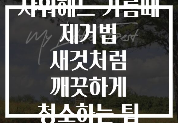 샤워헤드 기름때 제거법 새것처럼 깨끗하게 청소하는 팁 샤워헤드 기름때 제거법 새것처럼 깨끗하게 청소하는 팁