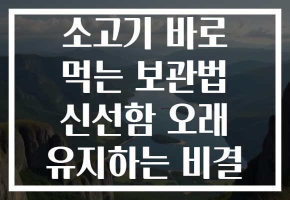 소고기 바로 먹는 보관법 신선함 오래 유지하는 비결 소고기 바로 먹는 보관법 신선함 오래 유지하는 비결